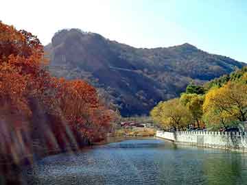 澳门天天免费精准大全，山东莱芜